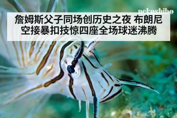詹姆斯父子同场创历史之夜 布朗尼空接暴扣技惊四座全场球迷沸腾